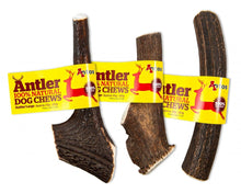 Load image into Gallery viewer, Antos - Antler Dog Chew