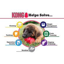Load image into Gallery viewer, Kong - Puppy