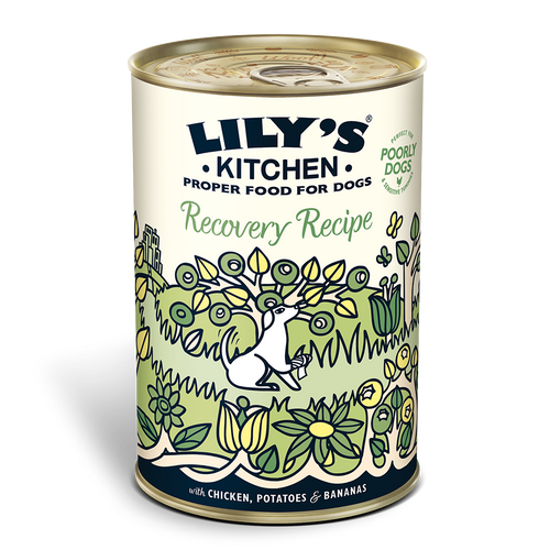 Lilys - Recovery Recipe