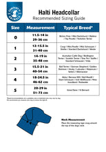 Load image into Gallery viewer, Company of Animals - Halti Headcollar
