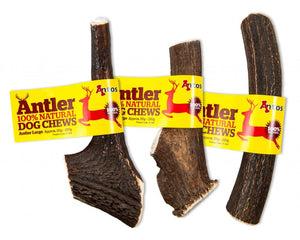 Antos - Antler Dog Chew