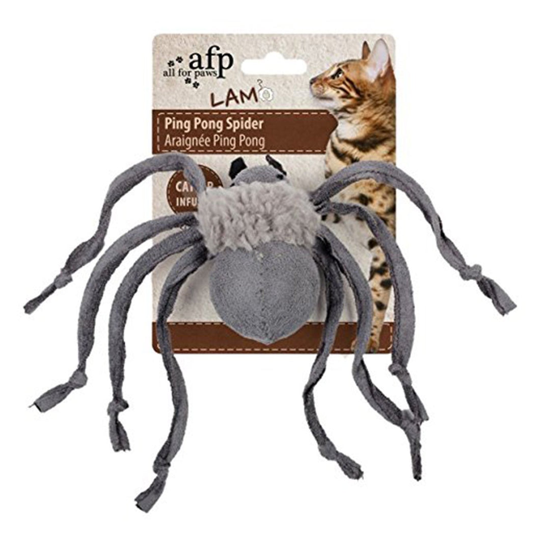 AFP - Ping Pong Spider