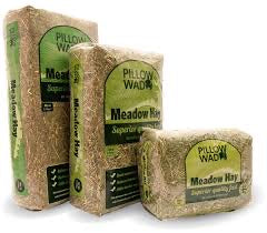 Pillow Wad - Meadow Hay