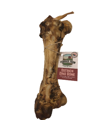 Antos - Ostrich Bone