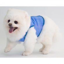 Load image into Gallery viewer, Cocojojo - Pet Cooling Vest