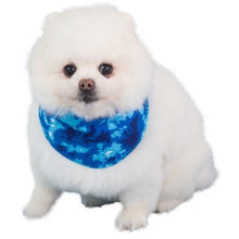 Load image into Gallery viewer, Cocojojo - Cooling Bandana