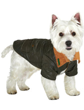 Load image into Gallery viewer, Urban Pup - Forest Green Quilted Town &amp; Country Coat