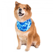 Load image into Gallery viewer, Cocojojo - Cooling Bandana