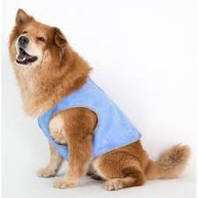 Load image into Gallery viewer, Cocojojo - Pet Cooling Vest