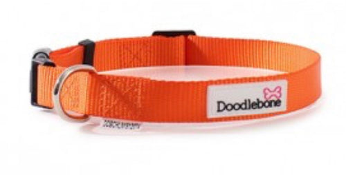Doodlebone - Collar Orange