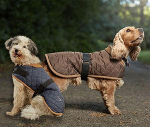Gor Pets - Worcester Coat Grey