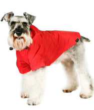 Load image into Gallery viewer, Urban Pup - Explorer Windbreaker Sport Jacket Red