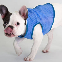 Load image into Gallery viewer, Cocojojo - Pet Cooling Vest