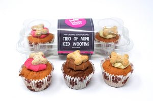 The Barking Bakery - Mini Iced Trios