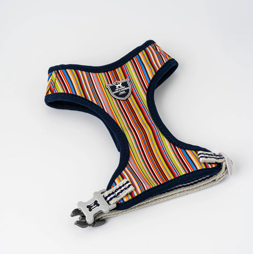 Hugo & Hudson - Multicoloured Striped Harness