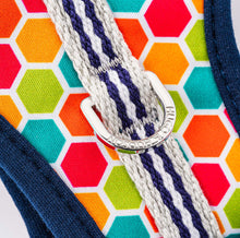 Load image into Gallery viewer, Hugo &amp; Hudson - Multicoloured Geometric Harness