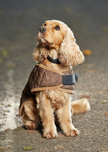 Gor Pets - Worcester Coat Grey