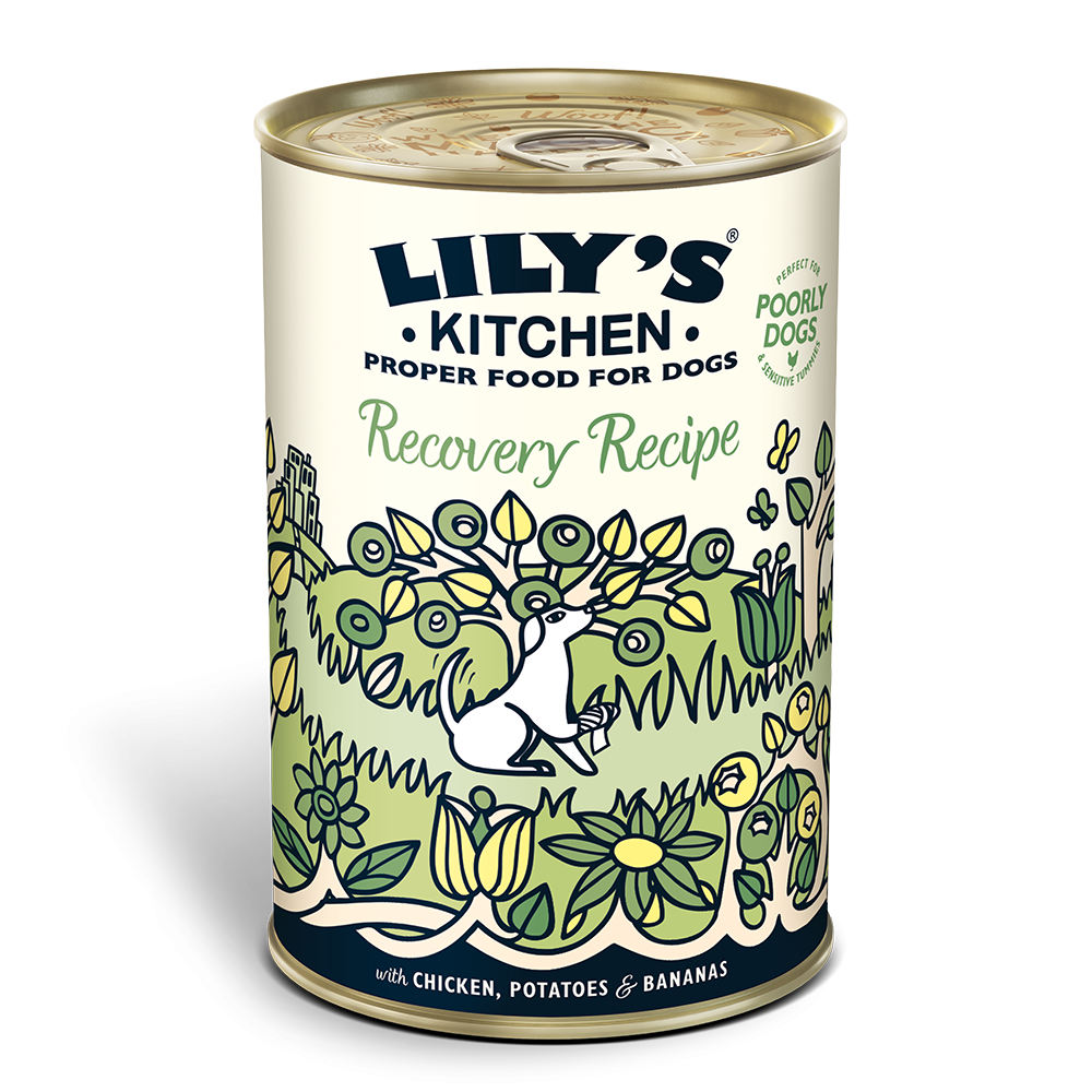 Lilys - Recovery Recipe